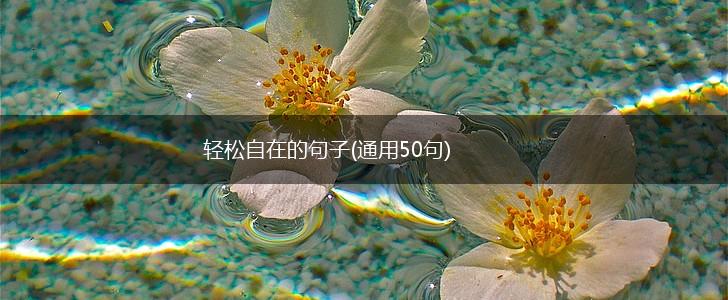 轻松自在的句子(通用50句),第1张