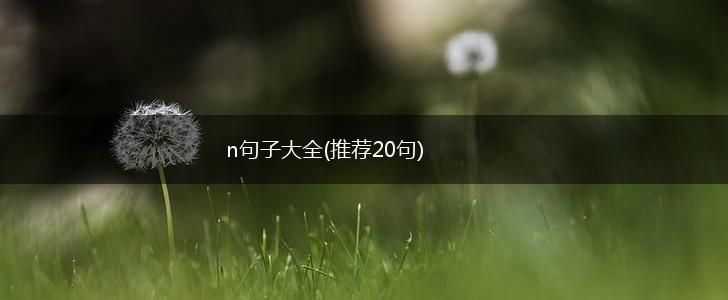n句子大全(推荐20句),第1张