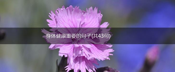 身体健康重要的句子(共43句),第1张