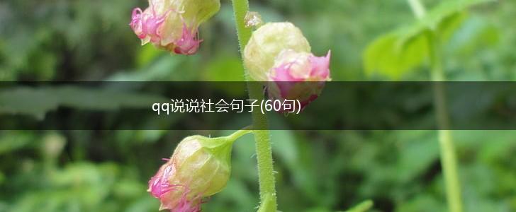 qq说说社会句子(60句),第1张
