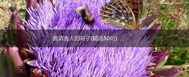 邀请客人的句子(精选50句),第1张
