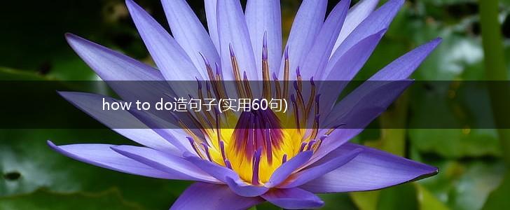 how to do造句子(实用60句),第1张