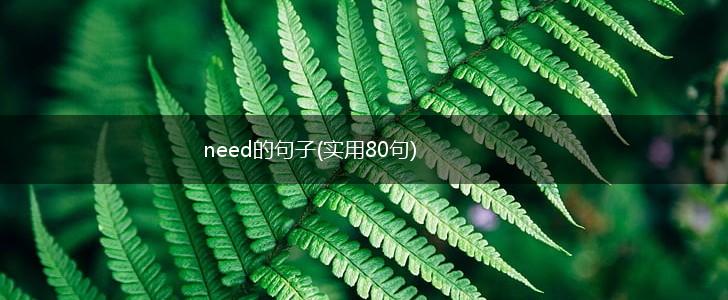 need的句子(实用80句),第1张