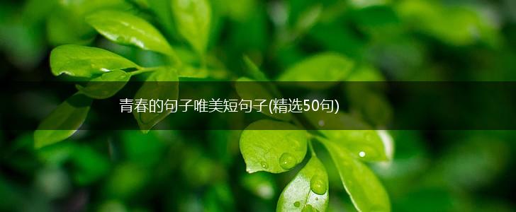青春的句子唯美短句子(精选50句),第1张