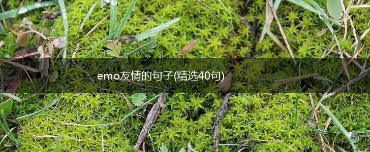 emo友情的句子(精选40句),第1张