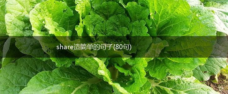 share造简单的句子(80句),第1张