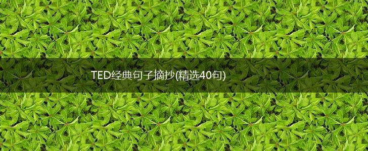 TED经典句子摘抄(精选40句),第1张
