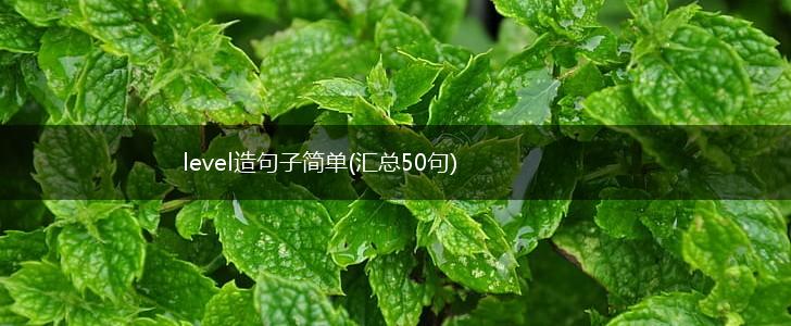 level造句子简单(汇总50句),第1张
