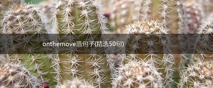 onthemove造句子(精选50句),第1张