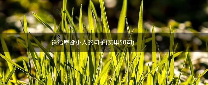 送给卑鄙小人的句子(实用50句),第1张
