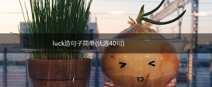 luck造句子简单(优选40句),第1张