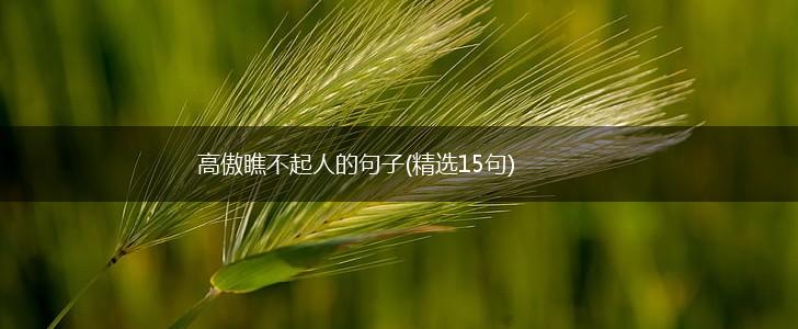 高傲瞧不起人的句子(精选15句),第1张