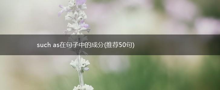 such as在句子中的成分(推荐50句),第1张