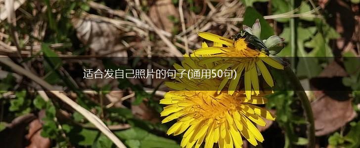 适合发自己照片的句子(通用50句),第1张