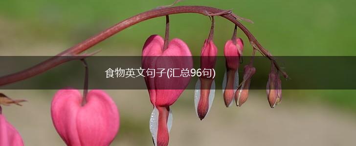食物英文句子(汇总96句),第1张