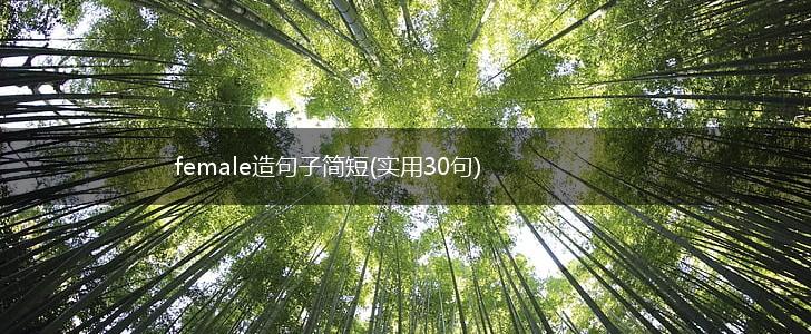 female造句子简短(实用30句),第1张
