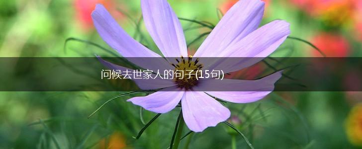 问候去世家人的句子(15句),第1张