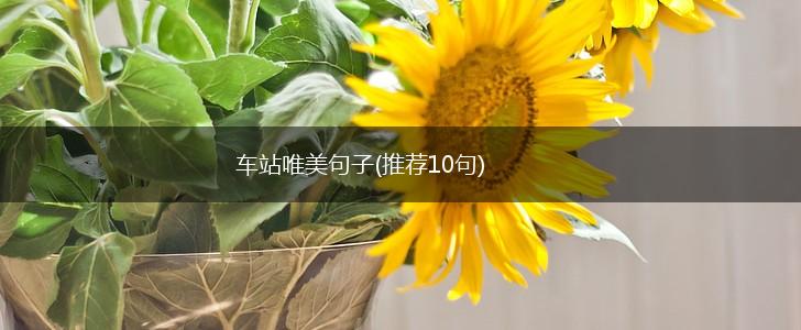 车站唯美句子(推荐10句),第1张