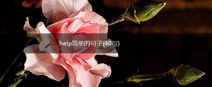 help简单的句子(40句),第1张