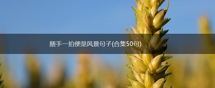 随手一拍便是风景句子(合集50句),第1张
