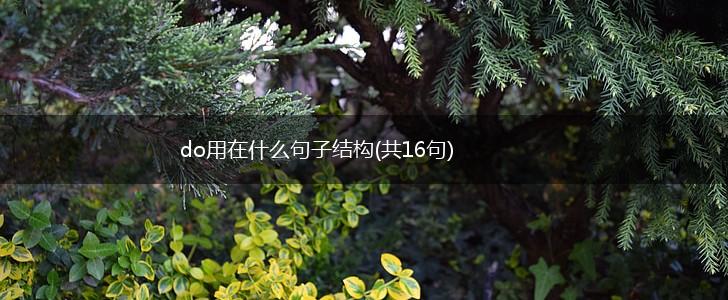 do用在什么句子结构(共16句),第1张