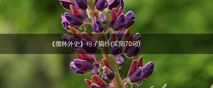 《儒林外史》句子摘抄(实用70句),第1张