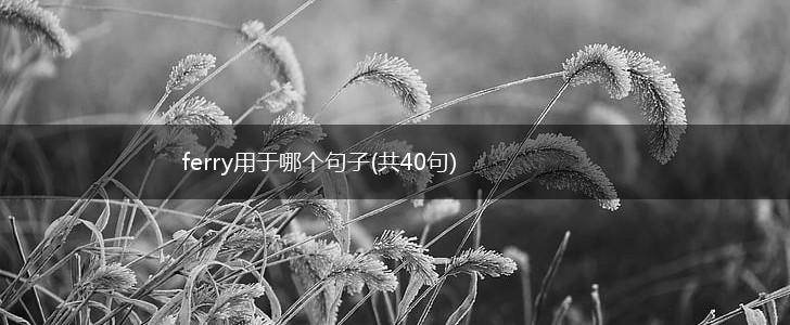 ferry用于哪个句子(共40句),第1张