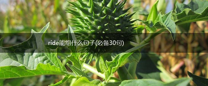 ride能组什么句子(必备30句),第1张