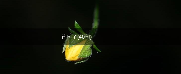 if 句子(40句),第1张