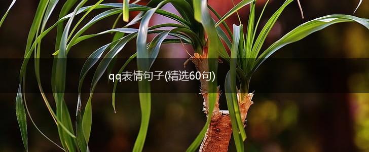 qq表情句子(精选60句),第1张
