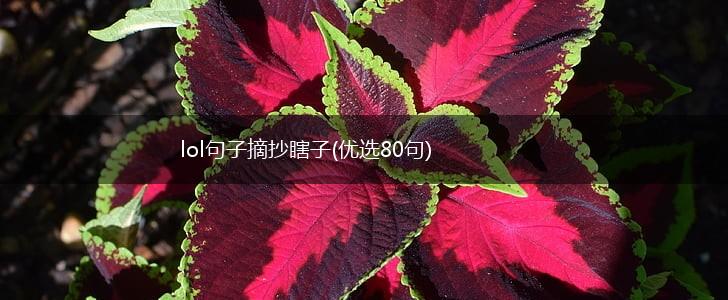lol句子摘抄瞎子(优选80句),第1张