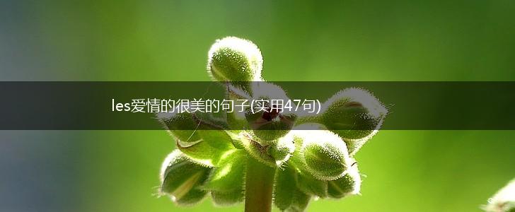 les爱情的很美的句子(实用47句),第1张