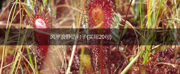风平浪静造句子(实用20句),第1张