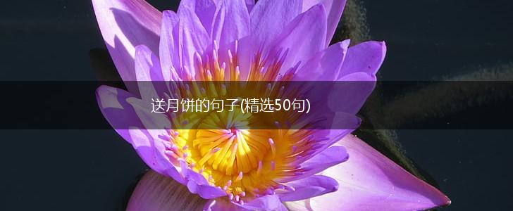 送月饼的句子(精选50句),第1张