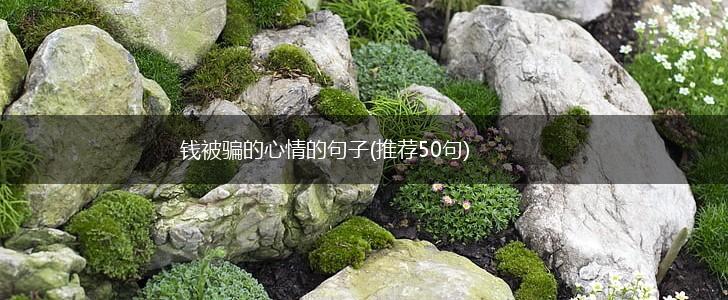 钱被骗的心情的句子(推荐50句),第1张