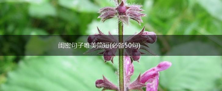 闺密句子唯美简短(必备50句),第1张