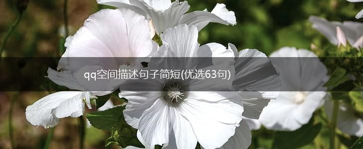 qq空间描述句子简短(优选63句),第1张