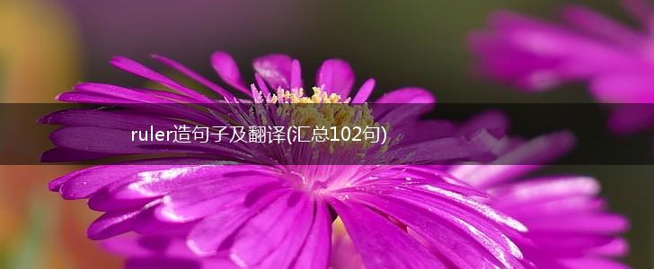 ruler造句子及翻译(汇总102句),第1张