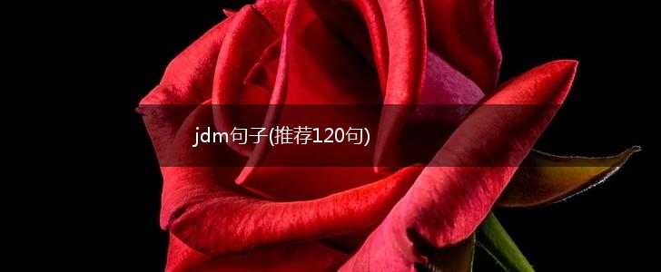 jdm句子(推荐120句),第1张
