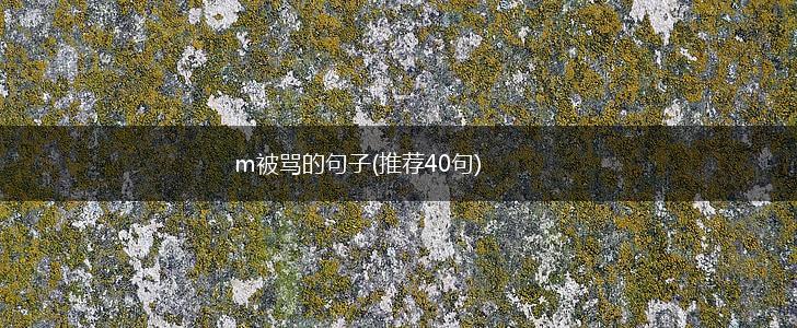 m被骂的句子(推荐40句),第1张