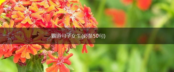 霸道句子女生(必备50句),第1张