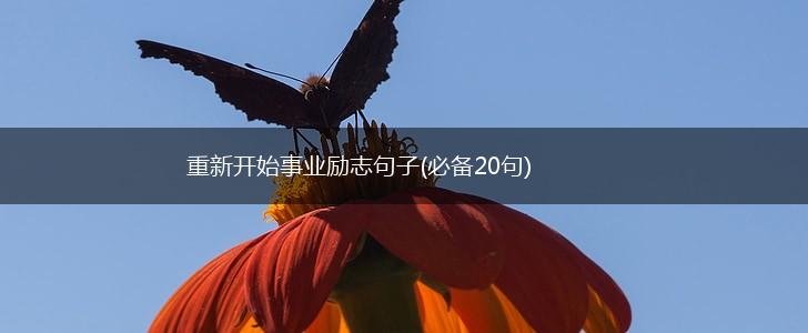 重新开始事业励志句子(必备20句),第1张