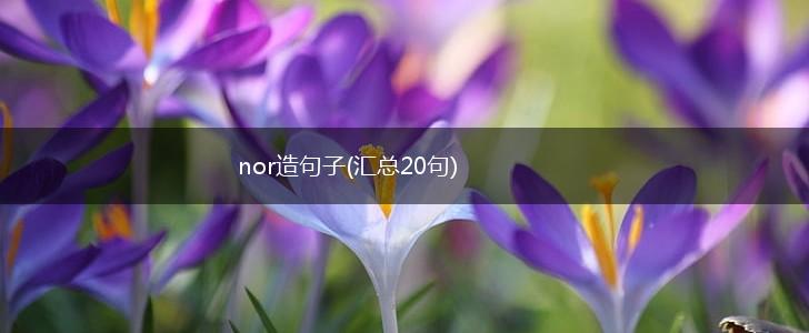 nor造句子(汇总20句),第1张