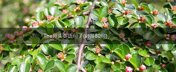 The开头英语句子(必备80句),第1张