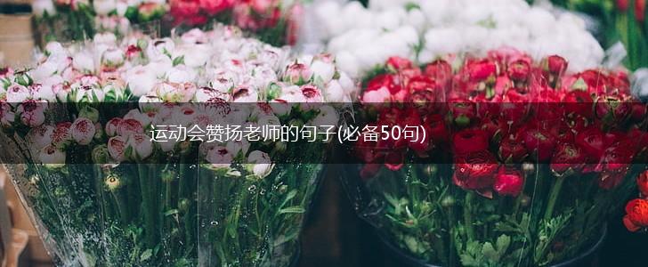 运动会赞扬老师的句子(必备50句),第1张