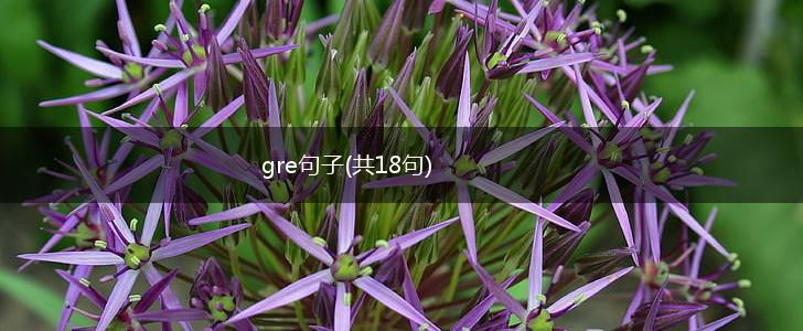 gre句子(共18句),第1张