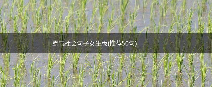 霸气社会句子女生版(推荐50句),第1张
