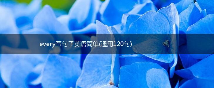 every写句子英语简单(通用120句),第1张
