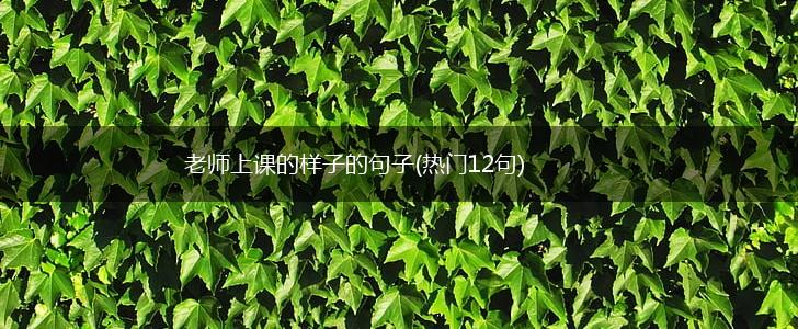 老师上课的样子的句子(热门12句),第1张