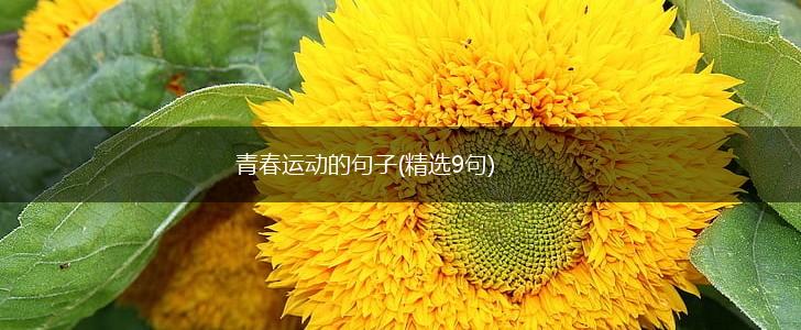 青春运动的句子(精选9句),第1张